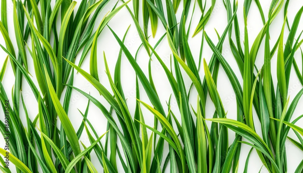 Fototapeta premium Vibrant green blades of grass seamlessly repeating on a crisp white background , surface, graphics