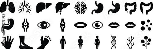 Medical and health icons set including lungs, liver, brain, stomach, eyes, DNA, bones, hands, feet, and gender symbols.