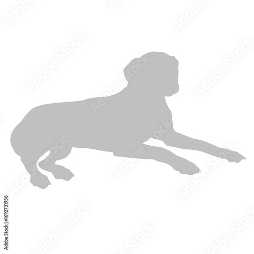 Gray silhouette of a dog lying down on a black background silhouette