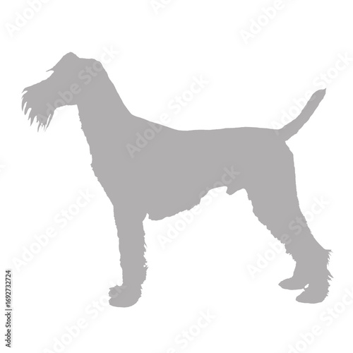 Irish terrier dog silhouette standing profile view