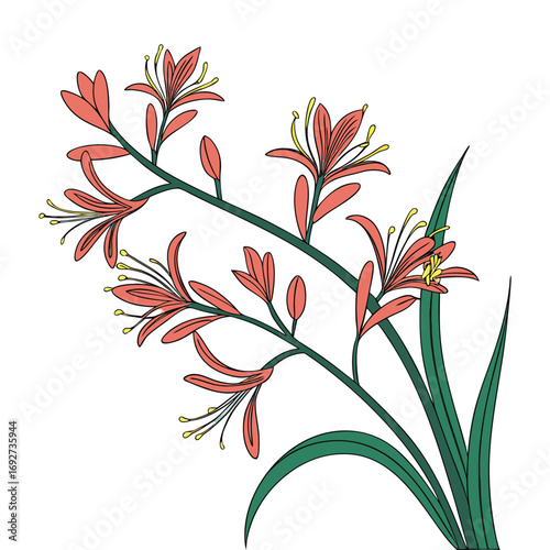 Stylized illustration of a flowering plant with coral-colored blossoms and green leaves
