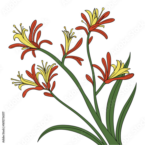 Stylized illustration of a flowering plant with red and yellow blossoms and green leaves