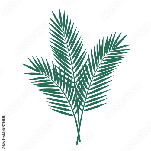 Colorful vector of a fresh green palm branch with detailed fronds symbolizing Palm Sunday on white background