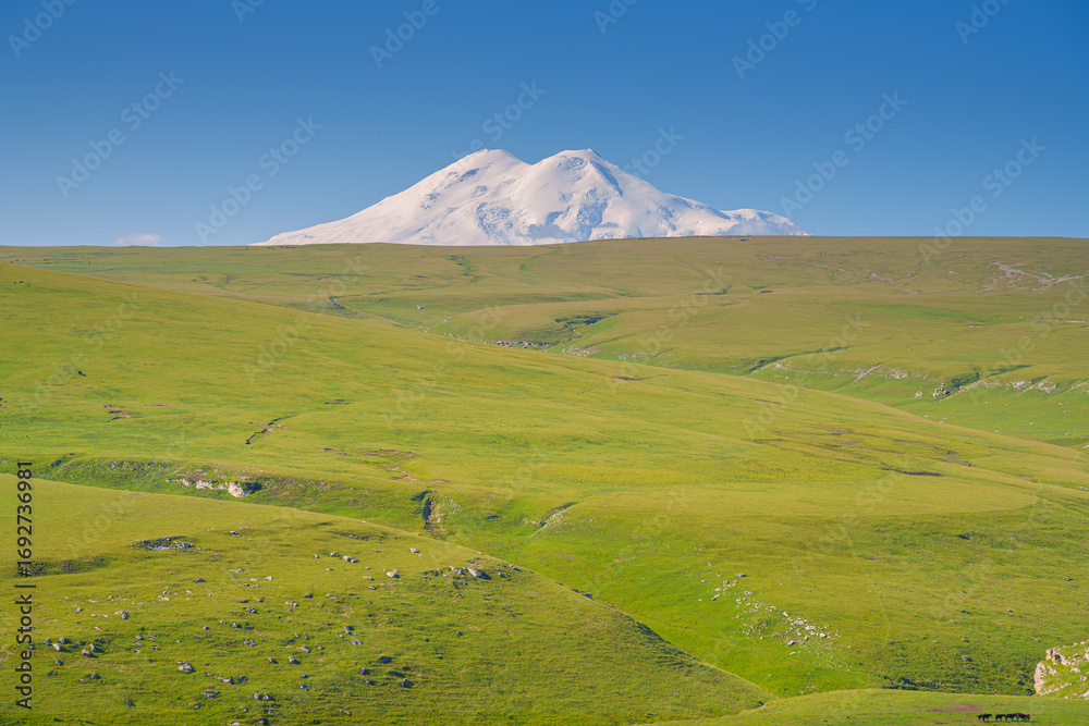Fototapeta premium A panoramic view of the snow-capped peaks of Mount Elbrus with the green field of the Bolshoy Bermamyt plateau in the foreground, Stavropol Krai, Russia
