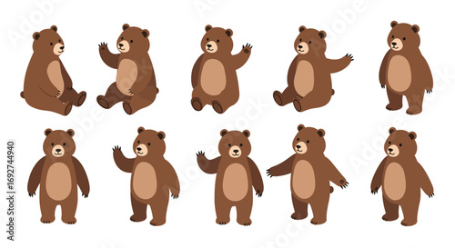 Cute brown bear in various poses on white background