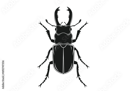 Detailed illustration of a stag beetle with its prominent mandibles and segmented body in black and white