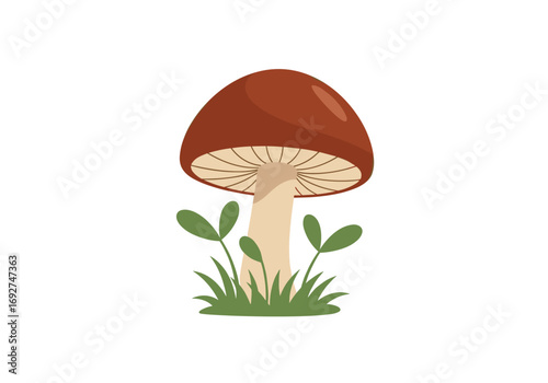 A single brown mushroom grows amidst green grass and small leaves