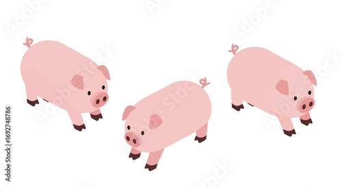 Isometric pig trio illustration on white background