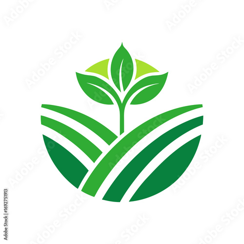 a green plant sprouting from green fields or farms vector illustration