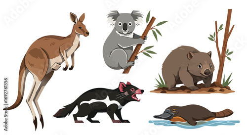 Cute Australian wildlife animals vector flat illustration collection white kangaroo koala wombat platypus tasmaniandevil marsupial fauna