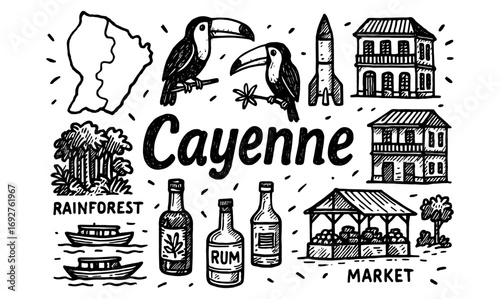 Cayenne landmarks and nature: hand-drawn toucan, rainforest, rum, and market scene