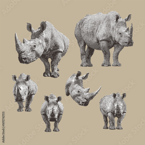 Rhinoceros, rhino vector, rhino illustration, line drawing on brown background.