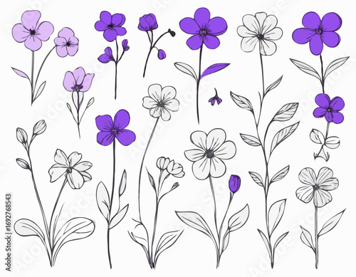 SET of Violet flower sketch hand drawn Vector Garden flowers