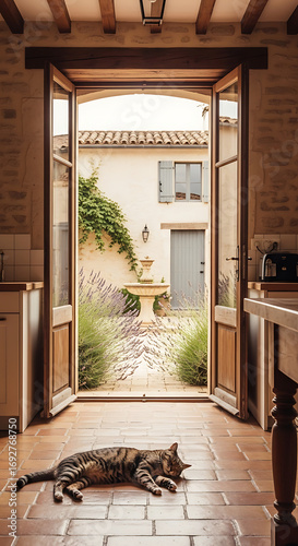 A tabby cat relaxes on a tiled kitchen floor in front of open doors leading to a sunny Provençal courtyard with a fountain.