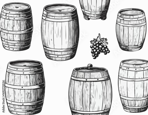 Wooden barrels hand drawn sketch Winemaking