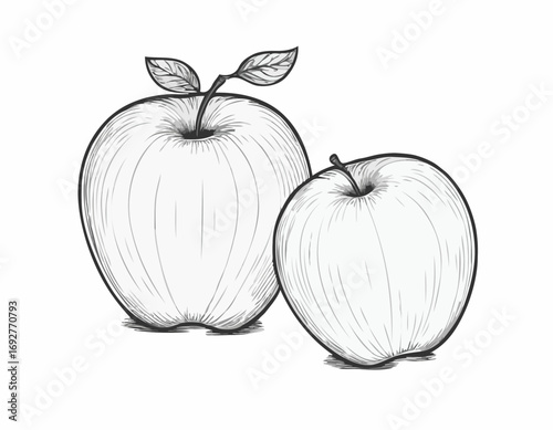 Apple fruit sketch hand drawn engraving style Vector illustration