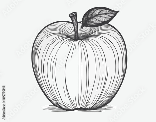Apple fruit sketch hand drawn engraving style Vector illustration