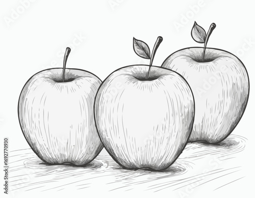 Apple fruit sketch hand drawn engraving style Vector illustration