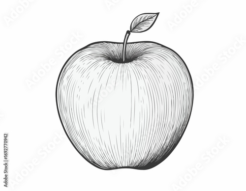 Apple fruit sketch hand drawn engraving style Vector illustration