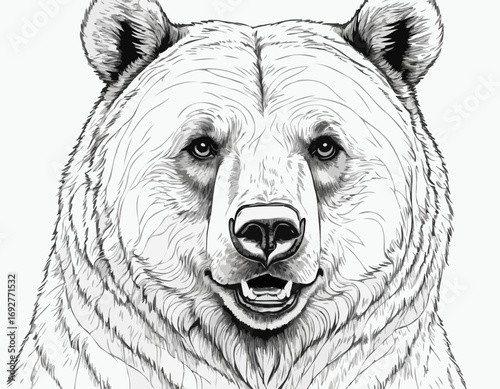 Beautiful realistic bear portrait hand drawn engraving sketch Vector illustration.