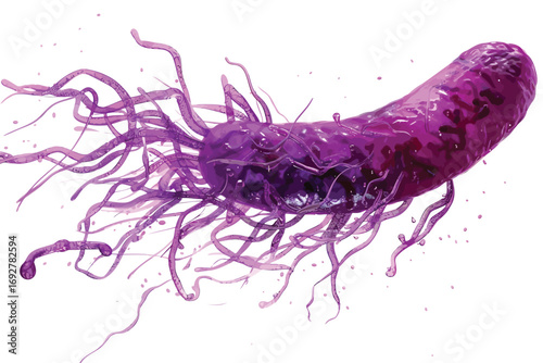 bacteria set isolated illustration