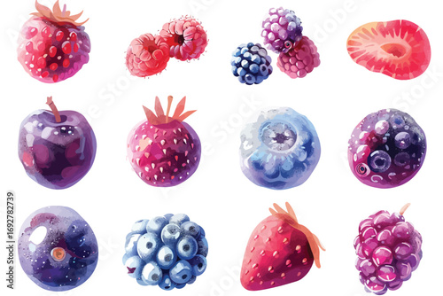 Frozen assorted berries isolated illustration