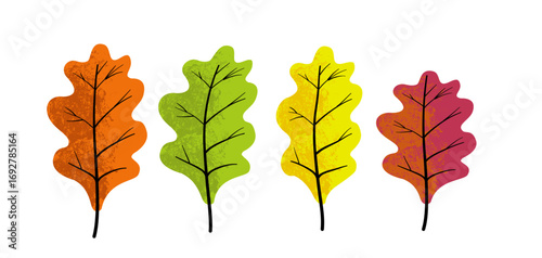 Set of colorful oak leaves - vector illustration