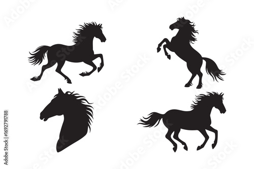 Dynamic silhouettes of four horses in motion and portrait