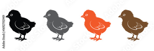 Baby chicks in different colors, cute animal illustration,Chick icon symbol collection.Chick in trendy flat style isolated on grey background. Easter symbol for your web design,