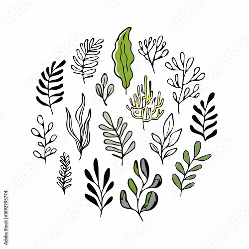 Coral reef or seaweeds vector underwater plant icons. Naive style leaves, algae or fronds. Hand drawn vector ink illustration.