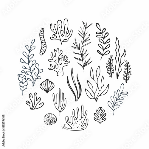 Coral reef or seaweeds vector underwater plant icons. Naive style leaves, algae or fronds. Hand drawn vector ink illustration.