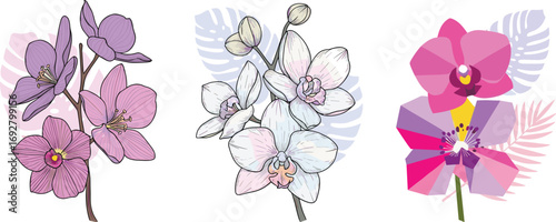 Orchid flower illustration set, tropical floral clipart bundle, hand-drawn and geometric design, pastel botanical elements for modern decor