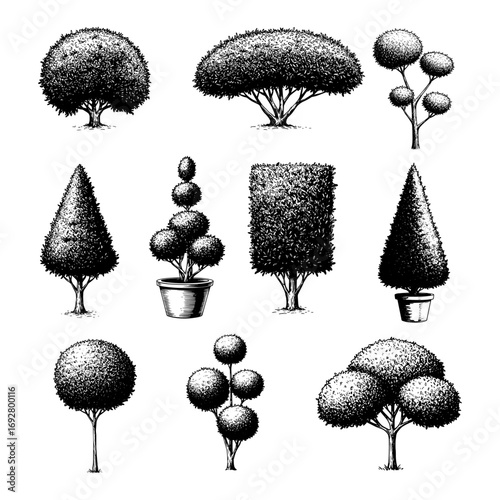Topiary Trees and Shrubs - Formal Garden & Landscaping Vintage Engraving Set