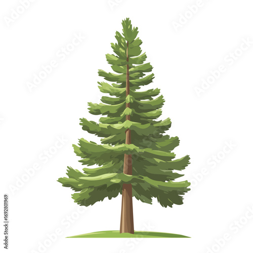 Minimal flat vector of a Ponderosa Pine Tree, 2D icon-style illustration on white background