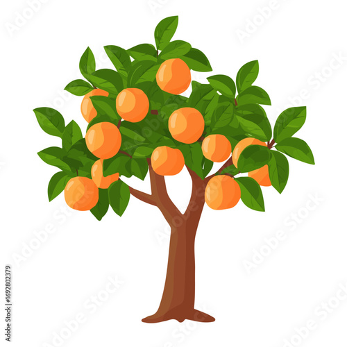 Flat 2D Peach Tree illustration, vector graphic in icon style, on white background