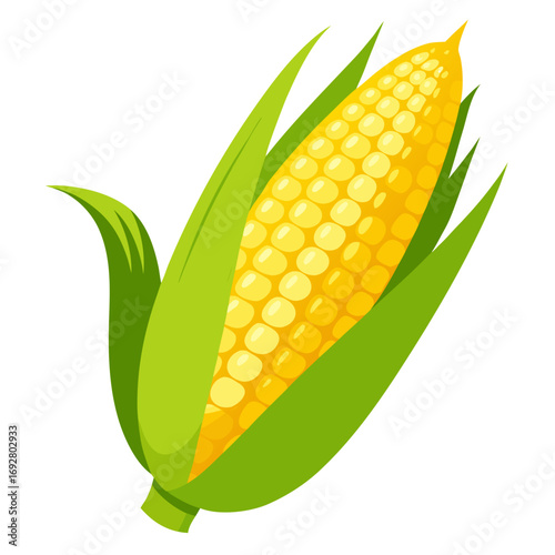 corn on a white background