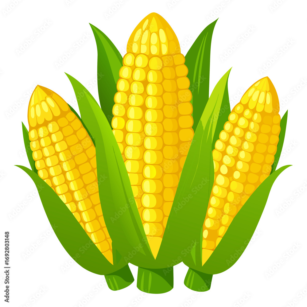 Obraz premium set of corn