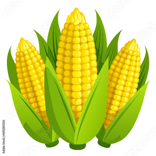 set of corn
