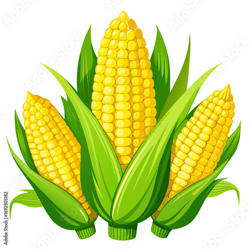 corn isolated on white background