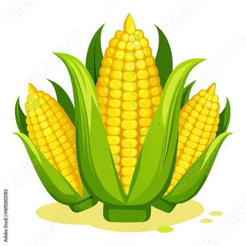 corn on a white background