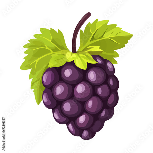 Minimal flat vector of a Mulberry, 2D icon-style illustration on white background