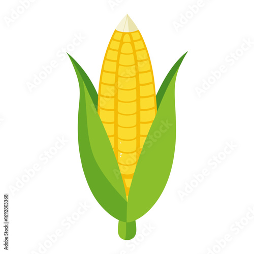 ear of corn