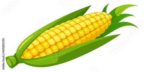 corn on a white background