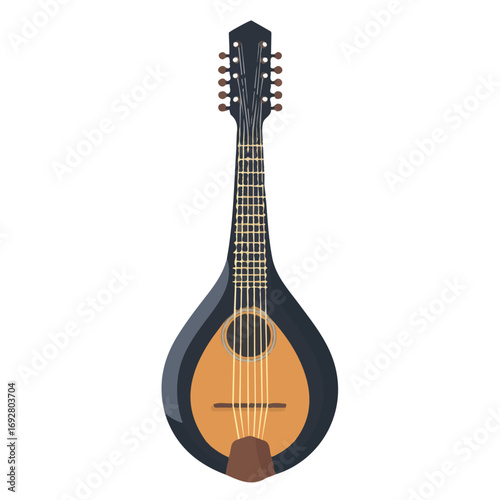 Mandolin Neck, flat style 2D vector image, isolated on a white background