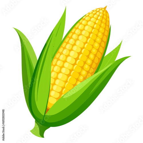 corn on a white background