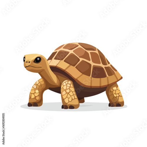 Minimal flat vector of a Tortoise, 2D icon-style illustration on white background
