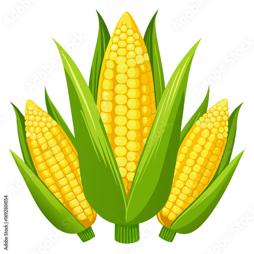 set of corn 