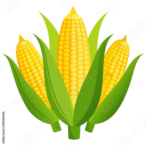 corn on the cob