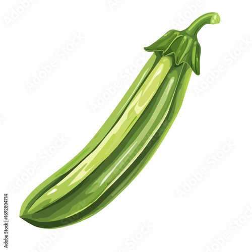 Okra, flat style 2D vector image, isolated on a white background