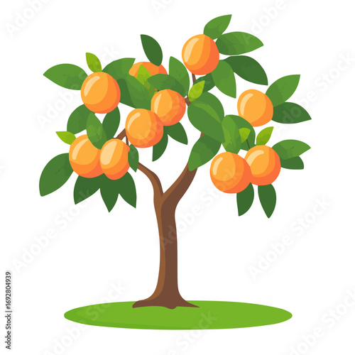 Flat 2D Peach Tree illustration, vector graphic in icon style, on white background
